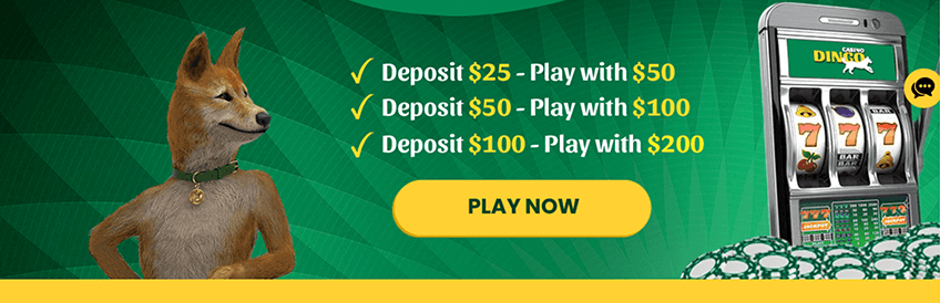 Casino Dingo