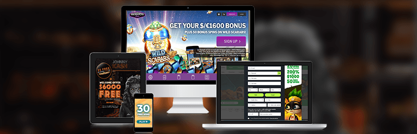 Blog Week 11 2020 Offers