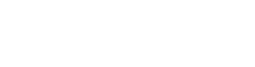 BDM Bet Casino Review Logo