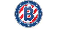 BitcoinCasino.us Review Logo