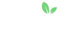Fruity Casa Casino Review Logo