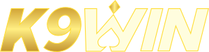 K9WinAU Casino Review Logo