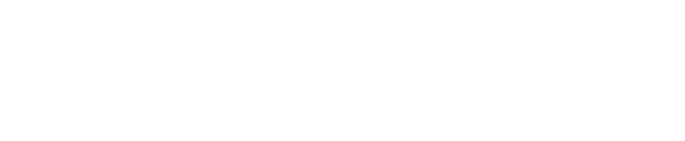 Leon Casino Review Logo