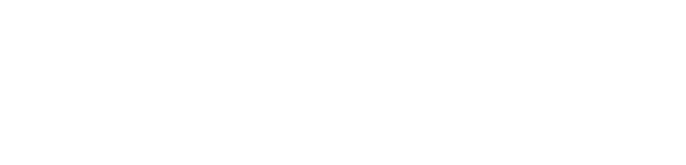 Platin Casino Review Logo