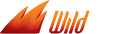 Wild Slots Casino Review Logo