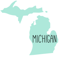 Current State of US Online Casino Gambling Law - Michigan